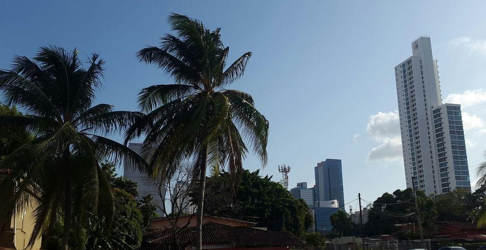 Mediterranean Dreams San Francisco Ciudad de Panamá Exterior foto